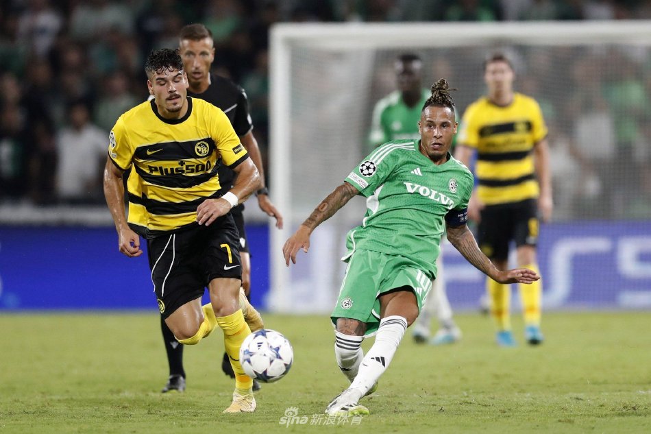 人感受到马 人感受到马